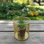 Modern Gold Mesh Desk Decor with Artificial Succulent Plant